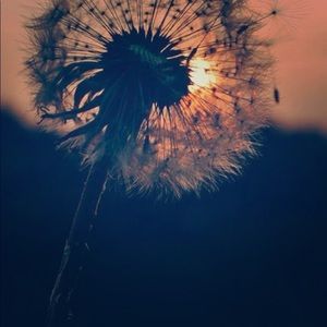 Meet your Posher, Hanna